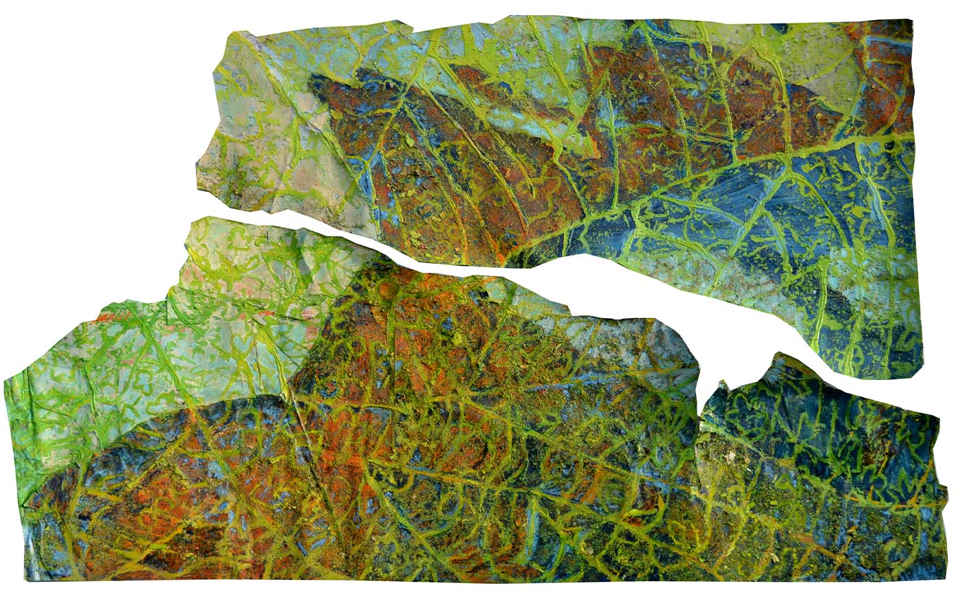 Végétal (partie haute : 48x64cm ; partie basse : 47x119 cm), huile, 2013